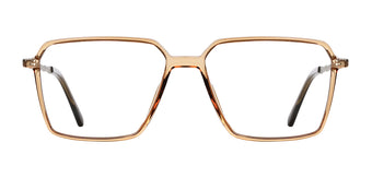Brown_Transparent_with_Silver