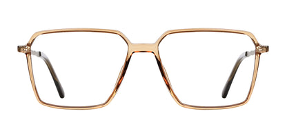 Brown_Transparent_with_Silver