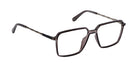 Grey_Transparent_with_Silver