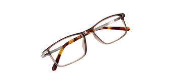 Brown_Gradal_with_Silver
