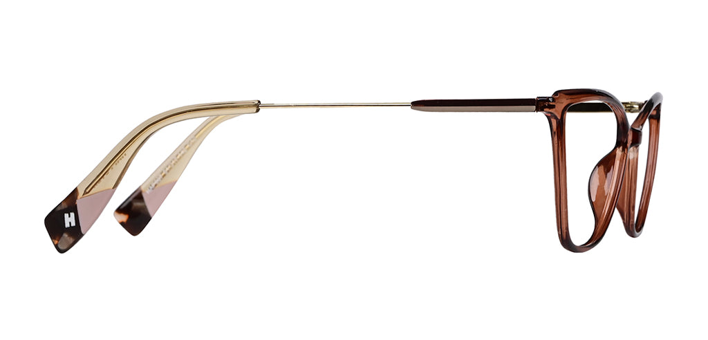 Brown_Transparent_with_Gold