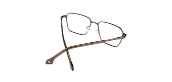 Brown_with_Brown