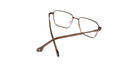 Brown_with_Brown