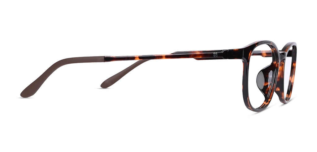 Brown_Demi_with_Demi