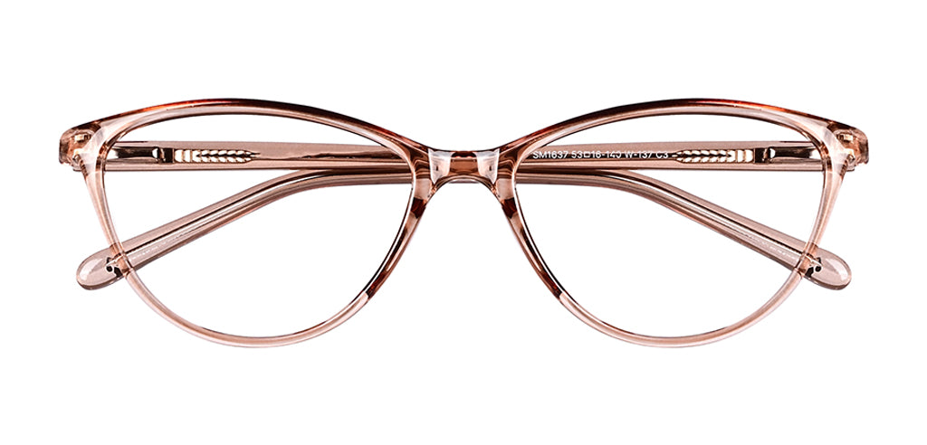 Brown_Transparent_with_Brown