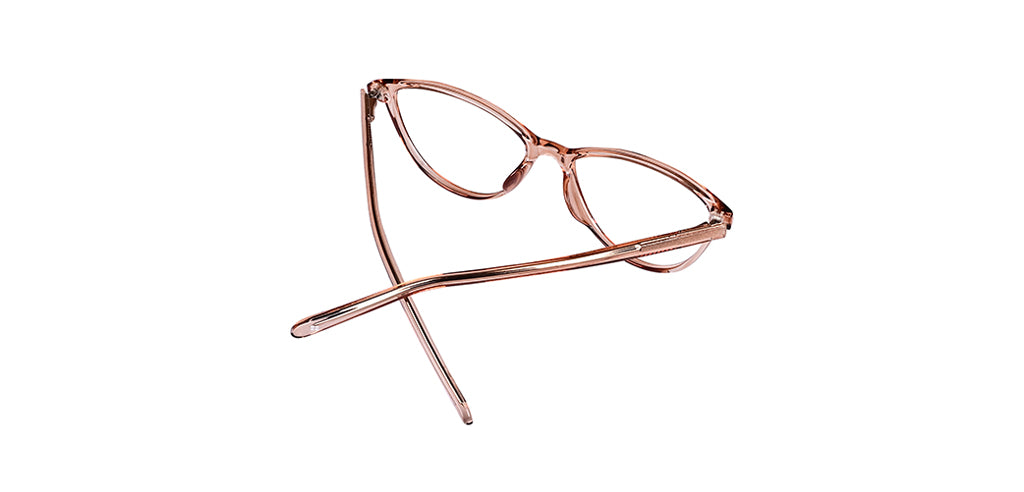 Brown_Transparent_with_Brown