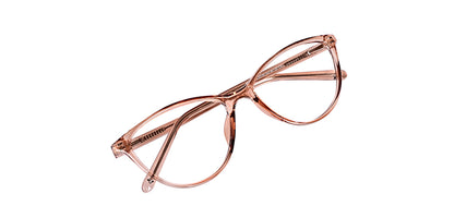 Brown_Transparent_with_Brown