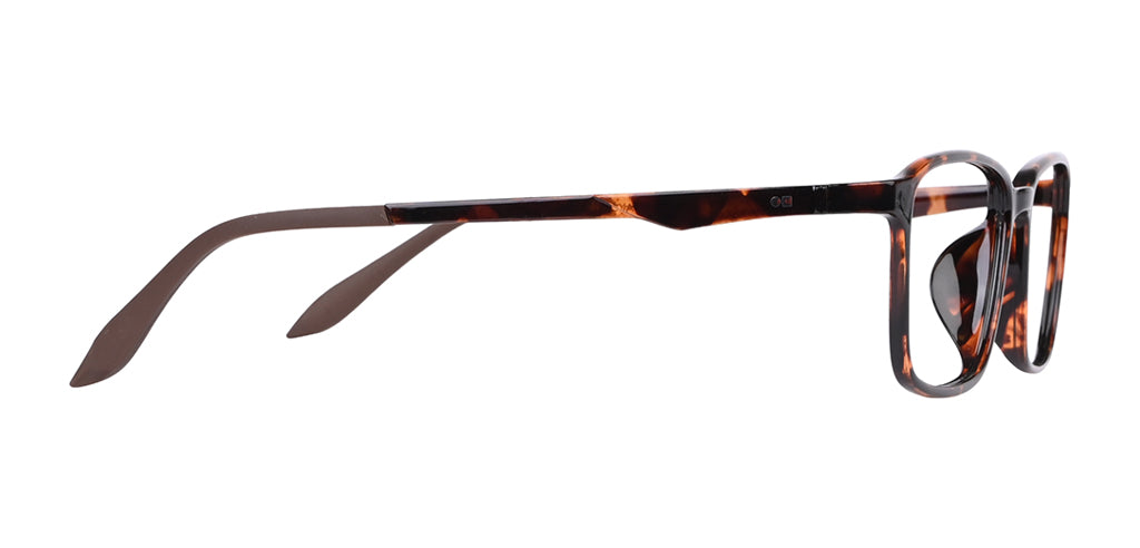 Brown_Demi_with_Demi