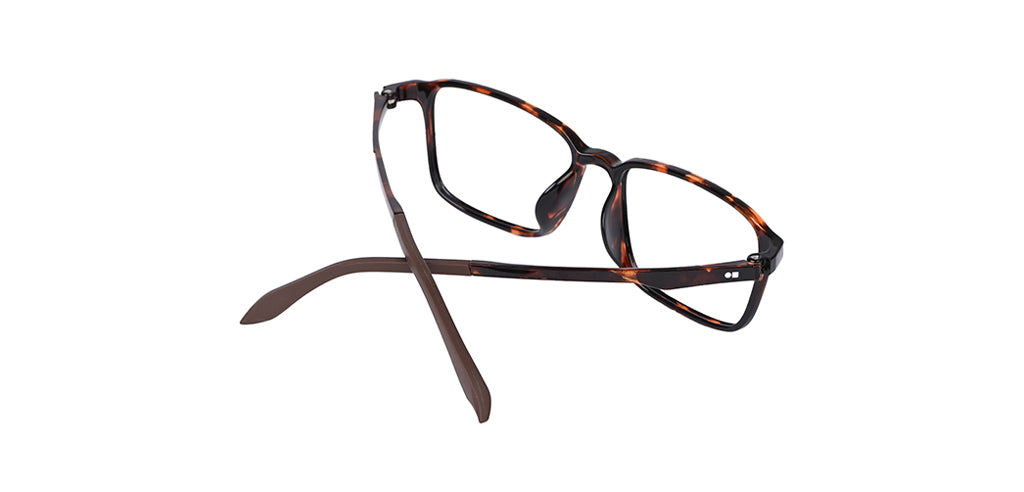 Brown_Demi_with_Demi