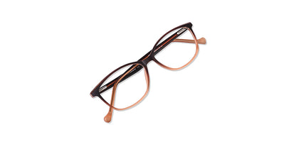 Brown_Gradal_with_Brown