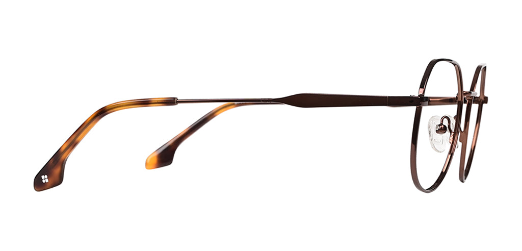 Brown_with_Brown