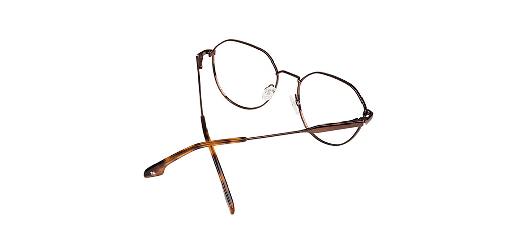 Brown_with_Brown