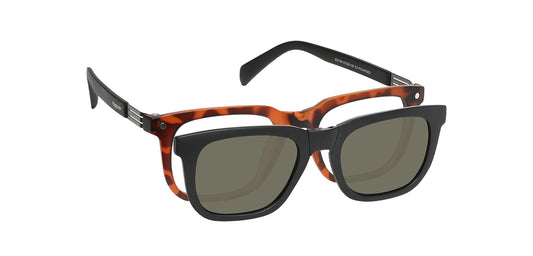 Brown_Demi_with_Black
