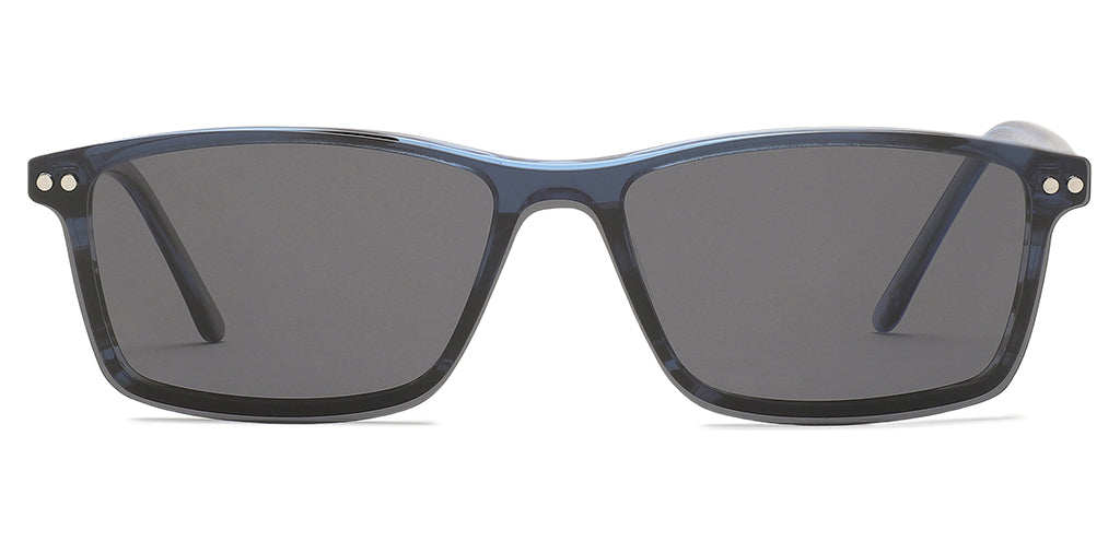 Blue_tortoise_with_blue