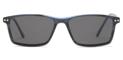 Blue_tortoise_with_blue