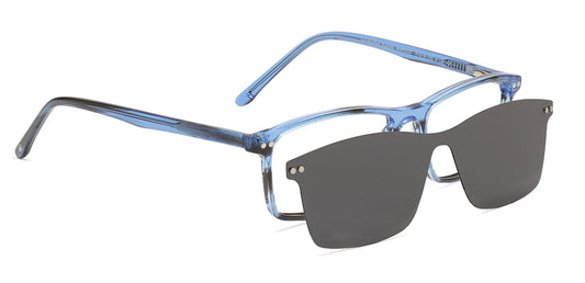 Blue_tortoise_with_blue