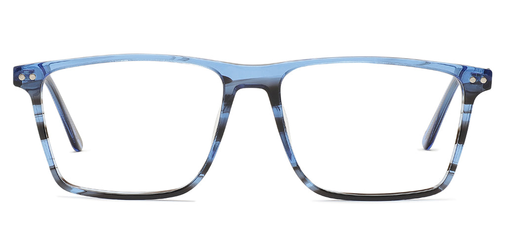 blue_tortoise_with_blue