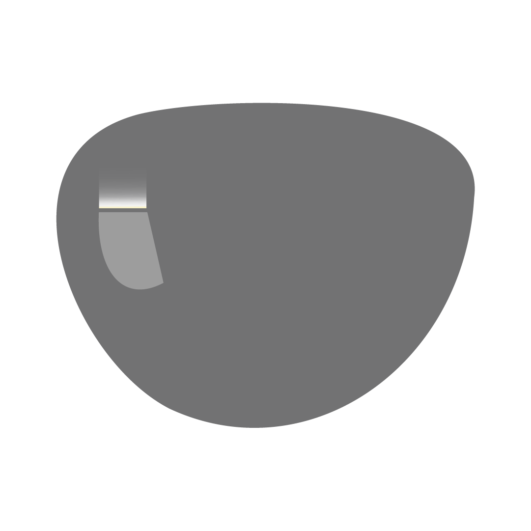 85% | Polarized Lens