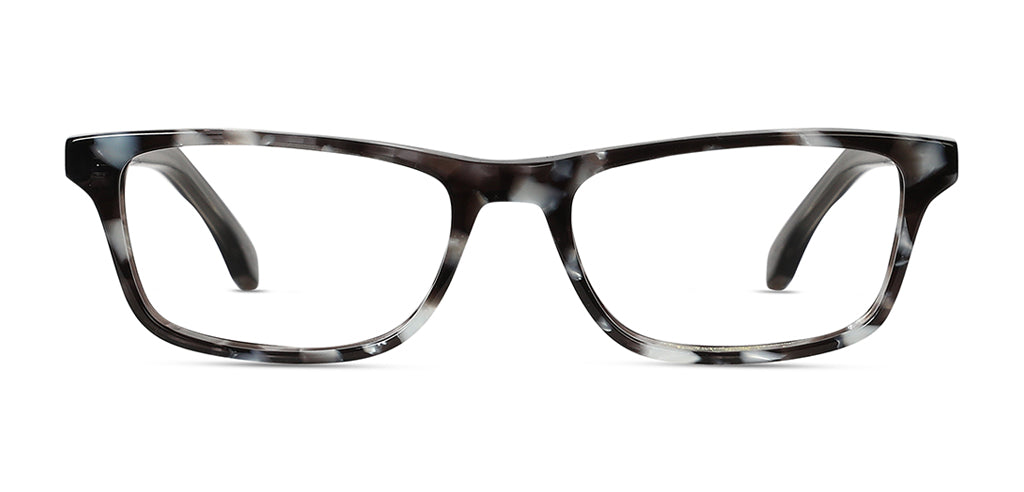 Grey_Demi_with_Gunmetal