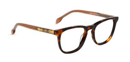 Brown_Demi_with_Grey