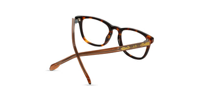 Brown_Demi_with_Grey