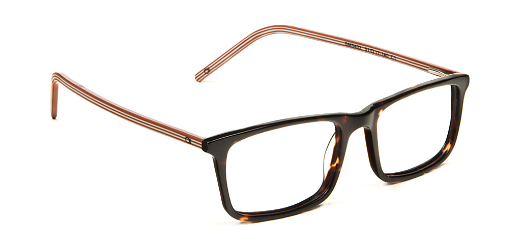 Tortoise_Brown_with_Brown