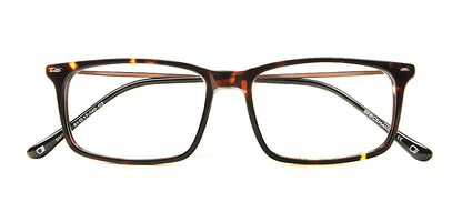 Tortoise_Brown_with_Brown