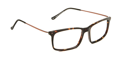 Tortoise_Brown_with_Brown