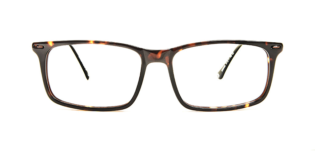 Tortoise_Brown_with_Brown