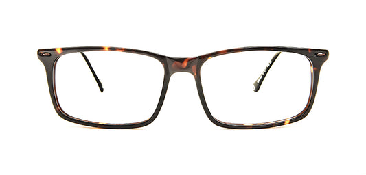 Tortoise_Brown_with_Brown