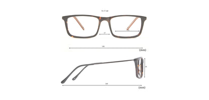 Tortoise_Brown_with_Brown