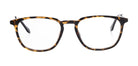 Brown_Demi_with_Yellow