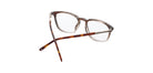 Brown_Gradal_with_Brown