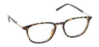 Brown_Demi_with_Yellow