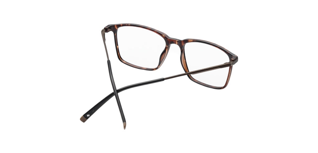 Brown_Transparent_with_Brown
