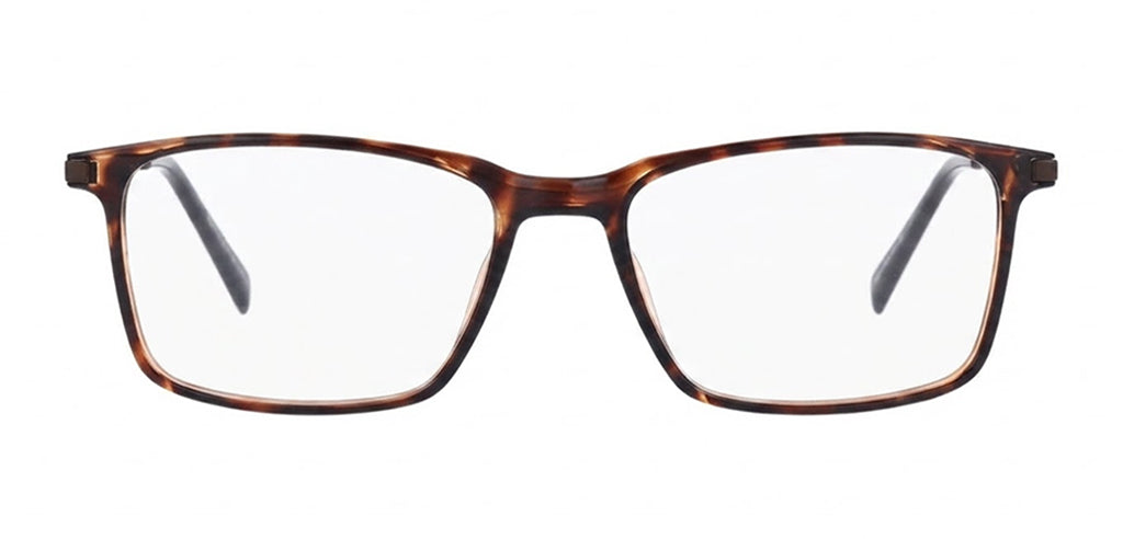 Brown_Transparent_with_Brown