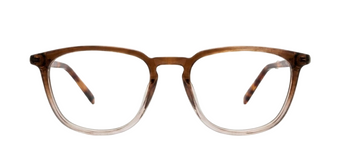 Brown_Gradal_with_Brown