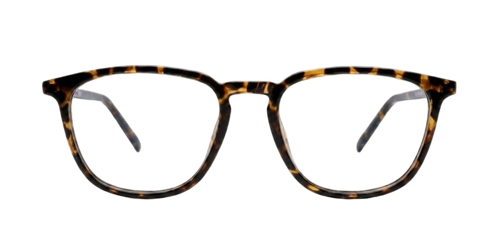 Brown_Demi_with_Yellow