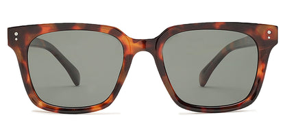 Brown_Demi_with_Grey_Lens