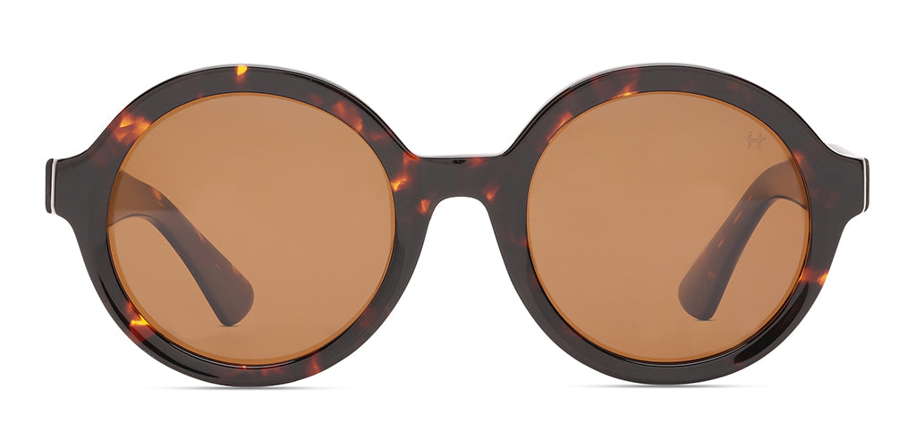 Brown_Tortoise