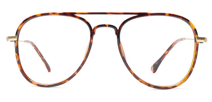 Brown_Tortoise_With_Gold