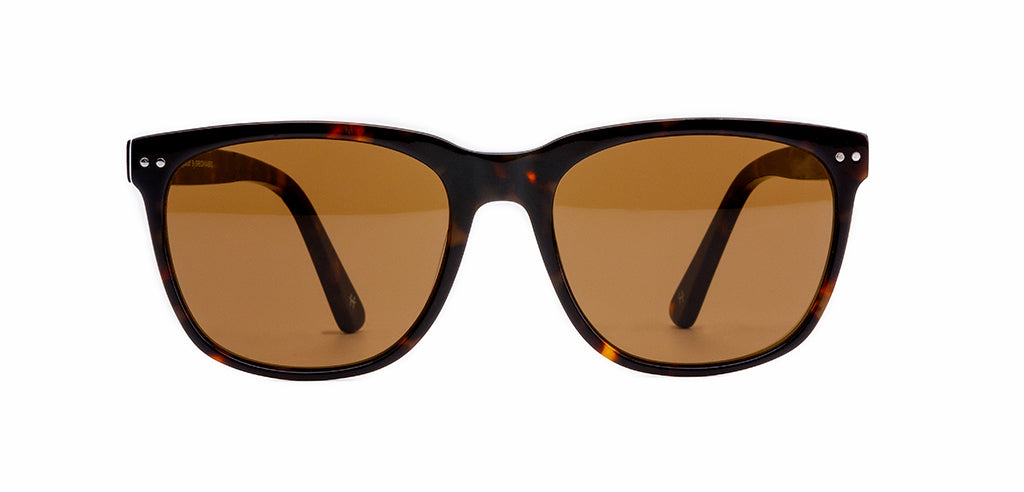 Glossy_Brown_with_Tortoise