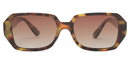 Brown_Demi_with_Brown_Lens