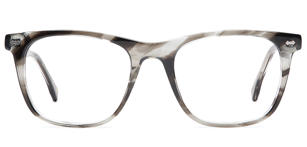Grey_Tortoise_with_Grey