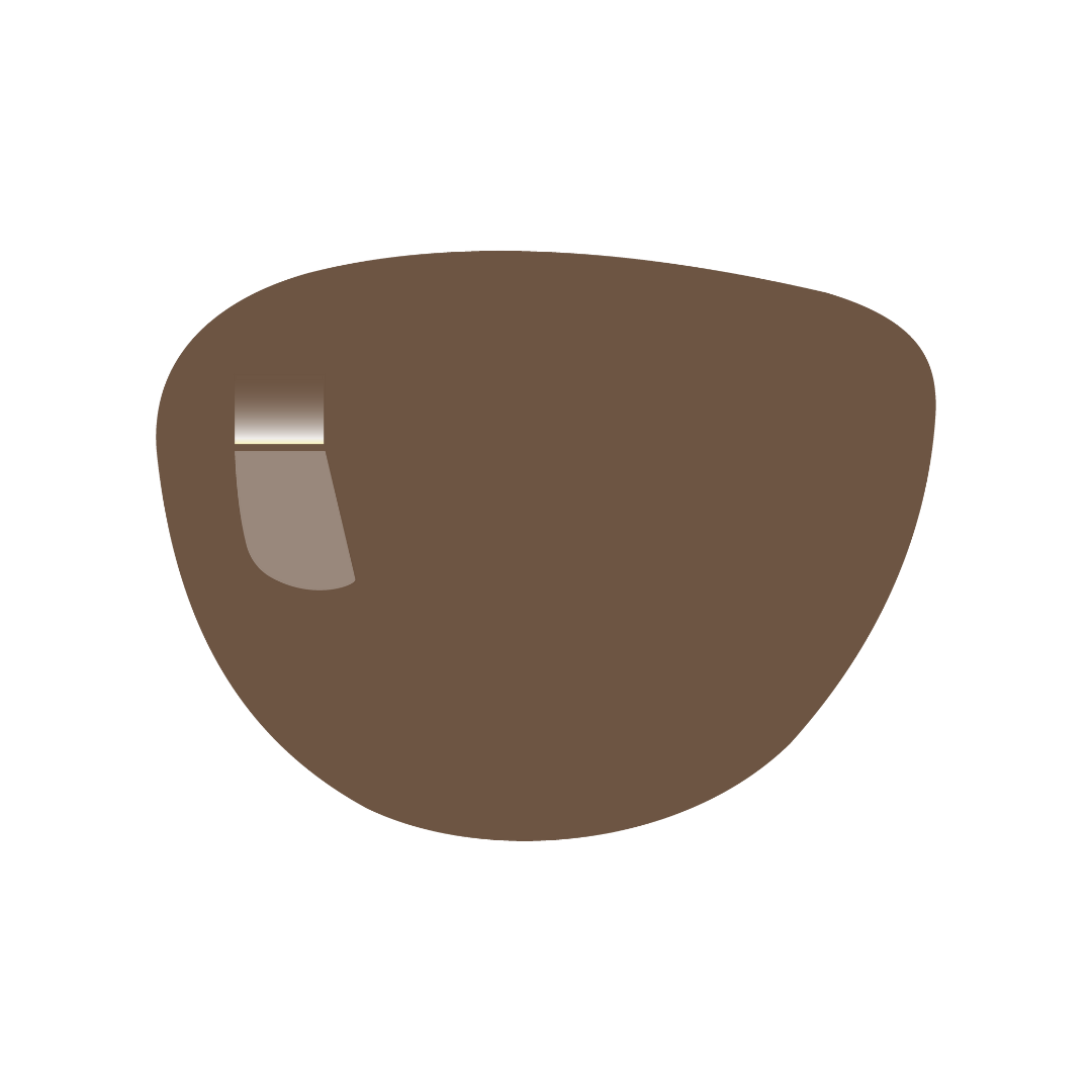 Tinted (Solid Color)