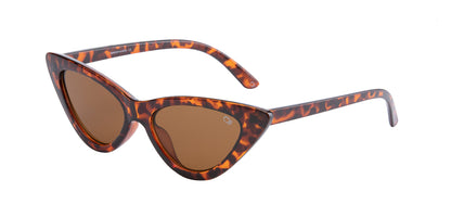 Brown_Demi_with_Demi_Lens