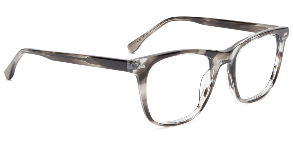 Grey_Tortoise_with_Grey