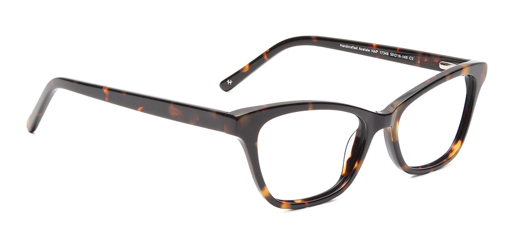 Glossy_Tortoise_Brown_Tortoise