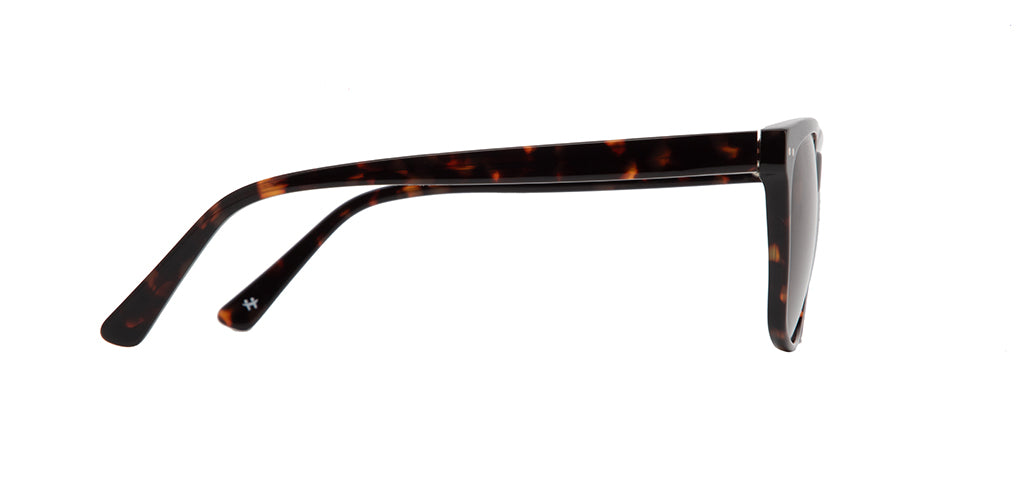 Glossy_Brown_with_Tortoise