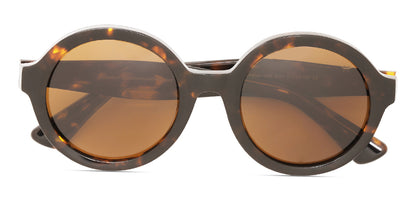 Brown_Tortoise